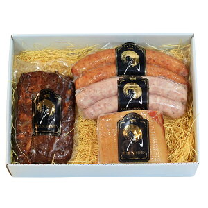 y①zSN-4@XyAuEx[RE\[Z[W2