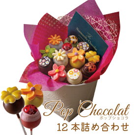 【常温発送】NC-2ポップショコラ詰め合わせ 12本入り《送料込》スイーツ 花のお菓子 かわいいお菓子プレゼント かわいいお菓子ギフト 棒付き おしゃれお菓子ギフト 美味しいチョコ チョコ チョコレート 個包装 クリスマス お歳暮 御歳暮 ギフト 誕生日プレゼントお菓子