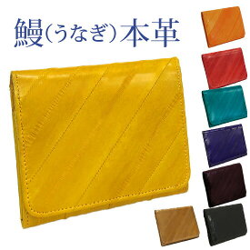 【うなぎ革】二つ折り財布【No142-6】春財布 小銭入れ レディース 工芸品 縁起 うなぎのぼり プレゼント EEl SKIN イールスキン ヌタウナギ【あす楽_土曜営業】【コンビニ受取対応商品】【楽ギフ_包装】