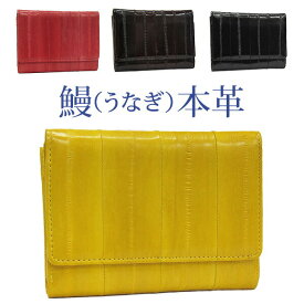 【うなぎ革】多収納 三つ折り財布【129-2】レディース 小銭入れ 春財布 カード パスケース 縁起 EElSKIN イールスキン ヌタウナギ【あす楽_土曜営業】【コンビニ受取対応商品】【楽ギフ_包装】