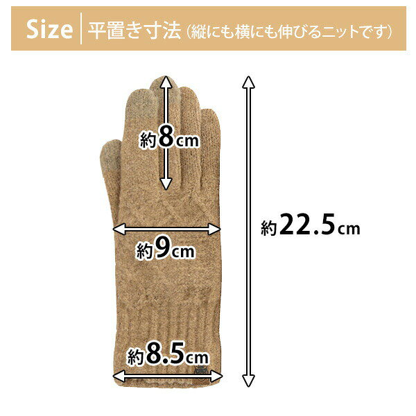 日本製 ケーブル編み スマートフォン対応 手袋 レディース(210-73)タッチグローブ tehtava テスタバ プレミアムシュークリーム糸 スマホ 手袋 暖かい スマホ手袋 かわいい スマホ 対応 スマホ操作 スマホ対応 ニット BISQUE ビスク 男女 - メイン画像 9