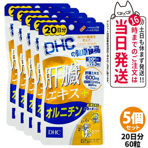 yܖ2028/01zfB[GC`V[ DHC ̑GLX{Ij` 20 60 Tvg NHi NTv eTv N  1/2/3/5 