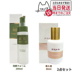 【2点セット】エバメール ソフト洗顔フォーム 200ml ファーストブースター導入液 80ml EVERMERE 泡洗顔 化粧水 導入美容液 化粧水 乳液 スキンケア 送料無料