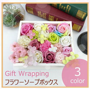 Mtg{bNX LTCY izCgE/sNE/O[EnNNj ya Mtg av[g     o KN j@v[g LO j j 