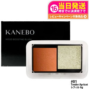 �y�I�ׂ�z�J�l�{�E ���[�h�u�[�X�e�B���O�u���b�V�� ���t�B�� 6g #01 Tender Apricot #02 Coral Euphoria ���C�N�A�b�v �`�[�N �p�E�_�[�`�[�N �t�F�[�X�J���[ KANEBO ��������