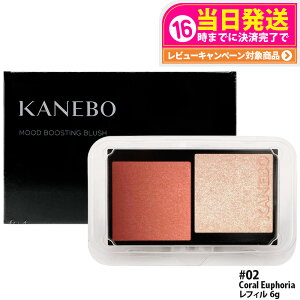�J�l�{�E ���[�h�u�[�X�e�B���O�u���b�V�� ���t�B�� 6g 02 Coral Euphoria ���C�N�A�b�v �`�[�N �p�E�_�[�`�[�N �t�F�[�X�J���[ KANEBO ��������