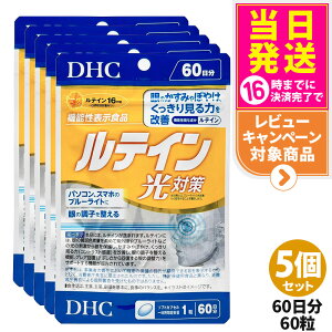 yIׂ ܖ2027/12zfB[GC`V[ DHC eC ΍ 20/60 20/60 1/2/3/5 Tvg 