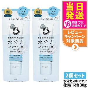 y 2Zbg Kiz ̓XLPAn 30g ێ  ېPA ωn SPF42 PA+++ KANSOSAN J\ET 