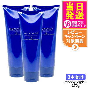 y3{ZbgzMUNOAGE ~[mA[W yARfBVi[ 170g XJvPA RfBVi[ wAPA ̂˂ ܂Ƃ܂ _[WPA ێ GCWOPA 