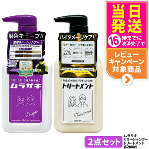 �y2�_�Z�b�g�zpluseau �v�����X�I�[ �J���[�V�����v�[ �����T�L 280ml + �w�A�g���[�g�����g for color 280ml �w�A�J���[ plus eau �_���[�W ��C �g���[�g�����g �J���[�L�[�v ��������