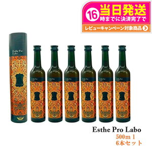 y6{ZbgEܖ2027/05zGXev{ t@XeBO yfhN GXev{ n[uUC 113 500ml Esthe Pro Labo GXev{ yfhN t@XeBO_CGbg 