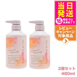 y2ZbgzK~mbJ tOX {fB\[v ZCgt[WA 480ml megami no wakka fragrance body soap saint freesia { 480ml {fB\[v