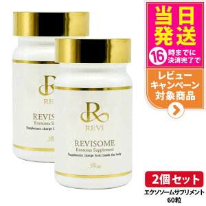 yIōő100%|CgobNzy2Zbg zREVI B \[ GN\\[Tv 60 NTvg yf P bNX 