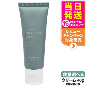 yKizITW `[jO GGg N[ 40g OSAJI ێN[ tFCXN[ XLPA 