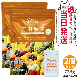 【2個セット】万田酵素 スタンダード 分包タイプ 77.5g (2.5g×31包) 発酵食品 健康食品 酵素サプリ 野菜 果物 穀物 海藻 発酵サプリ 栄養補助 国内正規品 送料無料