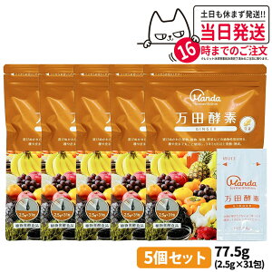 yKizcyf y[Xg^Cv WW[ GINGER  2.5g×31 77.5g RyHi Ay yfTv NHi Tvg 1/2/3/5Zbg yHi  ʕ  C 