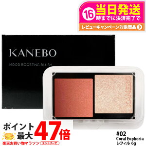 �J�l�{�E ���[�h�u�[�X�e�B���O�u���b�V�� ���t�B�� 6g 02 Coral Euphoria ���C�N�A�b�v �`�[�N �p�E�_�[�`�[�N �t�F�[�X�J���[ KANEBO ��������