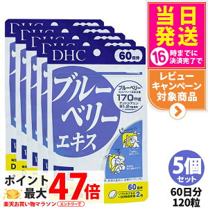 5Zbgyܖ2027NzDHC fB[GC`V[ u[x[GLX 60 120 Tvg NHi h{@\Hi NTv eTv N }`Tv 5 