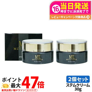 �y2�Z�b�g�zMT���^�g���� �X�e���N���[�� 30g MT���^�g�������ϕi �ێ��N���[�� �c���� ������ METATRON ���^�g���� ���K�i ��������