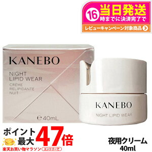 ナイトリピッドウェア kanebo」の人気商品一覧 | 安い商品を通販サイト 