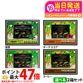 【2個セット】エステプロ・ラボ プロテイン ナチュラ グランプロ 抹茶 / W抹茶 / 黒ごまきな粉 / コーヒー / ダークココア 20袋入り 大袋 ボディメイクサポート エステプロラボ サプリメント ダイエット 美容 酵素 グランプロ シリーズ 送料無料