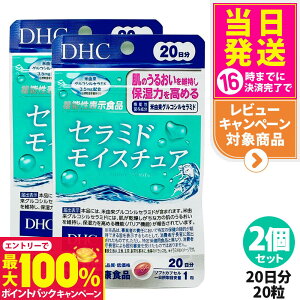 yIōő100%|CgobNzy2Zbg ܖ2027/09zfB[GC`V[ DHC Z~h CX`A 20 20 Tvg Sgێ 