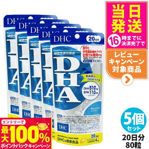 yIōő100%|CgobNzy5ZbgEܖ2028NzDHC fB[GC`V[ DHA 20 80 b L EPA Tvg NHi NTv eTv N 