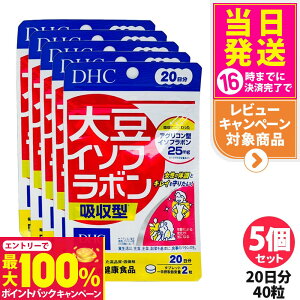 yIōő100%|CgobNzy5Zbg ܖ2026/09zfB[GC`V[ DHC 哤C\t{ z^ 20 40 AOR^ Tvg NHi NTv eTvr^~