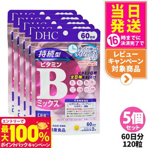 yIōő100%|CgobNzy5Zbg ܖ2027/12zDHC fB[GC`V[ ^r^~B~bNX 60 120 Tvg NHi h{@\Hi NTv eTv 