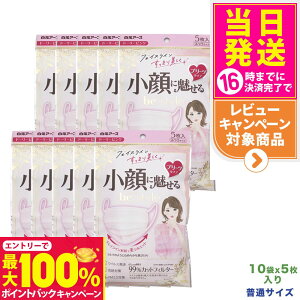 yIōő100%|CgobNzy10܃ZbgzA[X r[X^C v[c^Cv ӂTCY h[[sN5 ɖ鏗p̃}XNł 