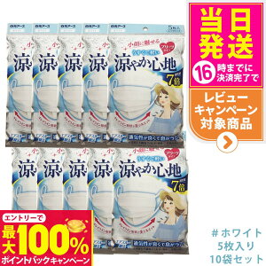 yIōő100%|CgobNzy10ZbgzA[X r[X^C v[c^Cv ₩Sn yzCgz 5 }XN 