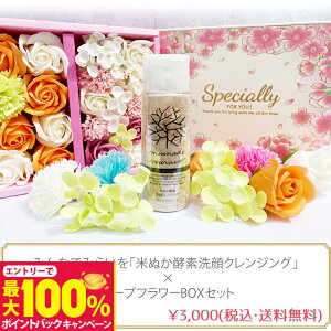 yIōő100%|CgobNz݂Ȃł݂炢 Y Ăʂyf NWO 70g \[vt[BOXZbg v[g Mtg 蕨 Ԃ̐Ό ͂Ȃ ̓ o[Xf[