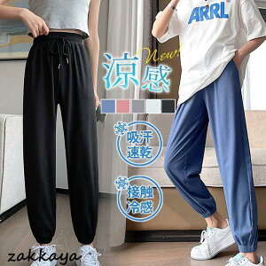 WK[pc fB[X  K W[W  ^ X X|[c ڐG⊴ z S t _X  n