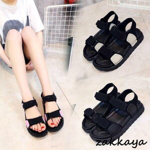 fB[X T_ r[T  r[`T_ T}[T_ }WbNe[v ~ V[Y  C  F؂ւ