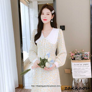 s[X fB[X O  fB[Xt@bV ꂢ ԕ t  i   20 30 40 50 tV ؍