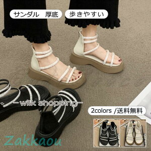 Xj[J[T_ fB[X  Xgbv ₷ ₷ CXg[ EFbW\[ ɂȂ  LL C  r