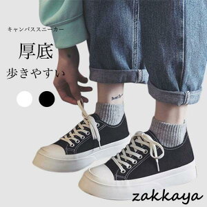 Xb| Xj[J[ fB[X LoXXj[J[ RtH[gV[Y h  3cm K ʋC _ JWAV[Y V[Y