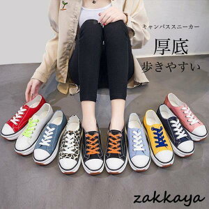 Xb| Xj[J[ fB[X LoXXj[J[ RtH[gV[Y h  3cm ʋC _ h JWAV[Y V[Y