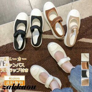 Xj[J[ fB[X LoX Xgbvt JWA tbgV[Y r ɂ ₷ ꂢ 