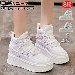  Xj[J[ fB[X Cq[Xj[J[ 8cmq[ gAbv  V[NbgV[Y y ҂ݏグ rnCJbg V