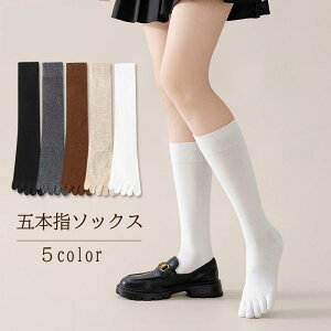 ܖ{w\bNX nC\bNX 5{wC fB[X p  Ђ G Vv n PF ʊw ig