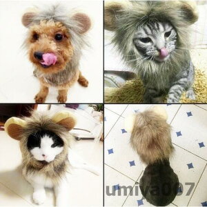 ybgpiybg/Xq/^ L  Ă/ϐg  /ybg ւ RXv EBbO ybgp a LOBe