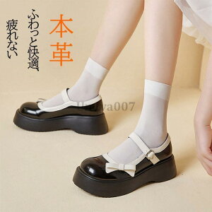 {v [t@[  fB[X w ʋ ʉ ʊw C w XN[ nEB w RXv 10203040 _炩 ɂȂ ɂ