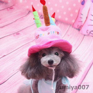 NEWfUCIpap[eBXq/Xq/nbs[o[Xf[nbg/o[XfB/Ԃ//RXv_bNX `/v[h/hbOEFA