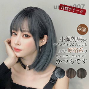 EBbO Z~O ~fBA  tEBbO RECbO fB[X Xg[g RXvϑ  bV p[eB[ J[