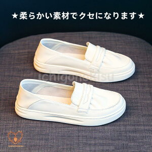 pvX ɂȂ [q[ _炩 ₷ {v  Ȃ ʋ ʊw d  w ItBX tbgV[Y fB[XC