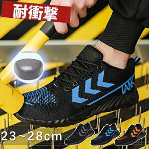 SC [Nu[c ƌC Ȃ Y fB[X  ZteB[V[Y SXj[J[ c ܐK[h y ʋC 