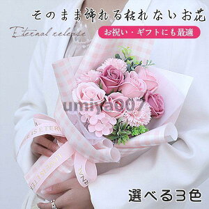 \[vt[ ԑ ͂Ȃ J[l[V [Y u[P Ό̂ j  o^C ̓ j l  w a