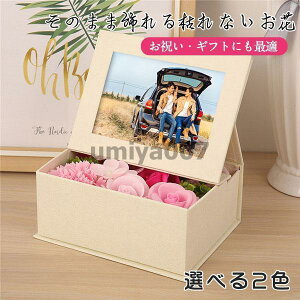 \[vt[ Ao ͂Ȃ J[l[V [Y tHgt[ Ό̂ j  o^C ̓ j  a