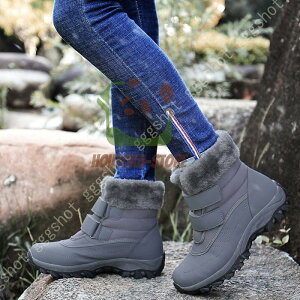 Xm[u[c fB[X h h h EB^[u[c V[gu[c xN E֗ pu[c C ȌC ʋΒʊw ϋv Ή 